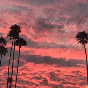 Meet your Posher, Rosa